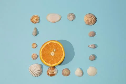 Summer composition made of sea shells and oranges with a place to write on a Stock Photos