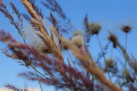 Summer composition Stock Photos