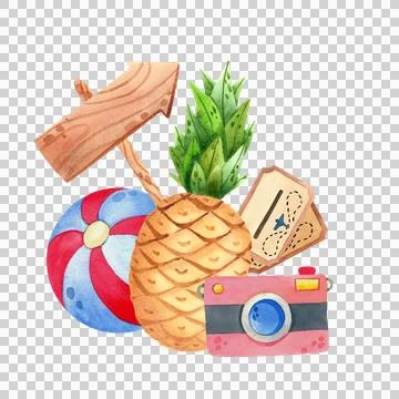 Summer composition with a pineapple, beach ball, camera, isolated. Hand-drawn Illustration