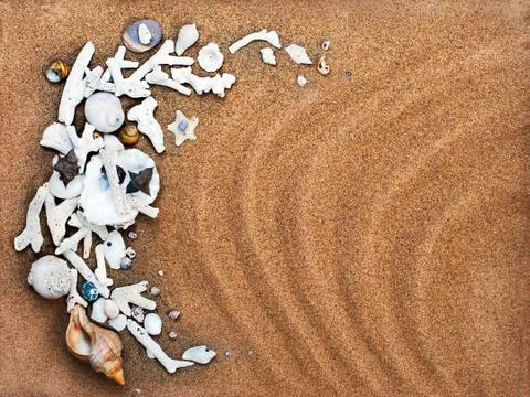 Summer composition - sea shells with sand as background Stock Photos