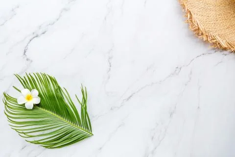 Summer composition. Tropical palm leaf, big straw hat on white marble backgro Foto stock