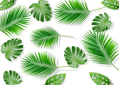 Summer composition. Tropical palm leaves on yellow background. Summer concept Illustrazione stock