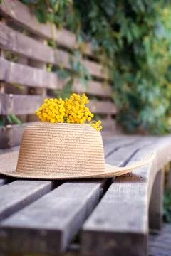 Summer composition with wicker hat, momoza, vertical Stock Photos