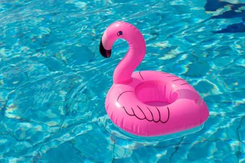 Summer concept background. Pink inflatable flamingo in pool water for summer  Stock Photos