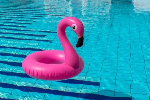 Summer concept background. Pink inflatable flamingo in pool water for summer  Stock Photos