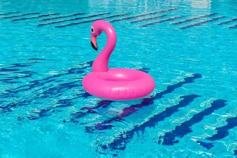 Summer concept background. Pink inflatable flamingo in pool water for summer  Stock Photos