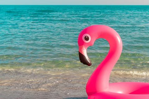 Summer concept background. Pink inflatable flamingo in blue ocean water for s Stock Photos