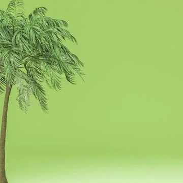Summer concept green background with palm tree and copy space, 3d rendering Stock Illustration