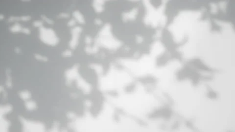 Summer concept the motion of leaves sunlight natural shadow overlay on white  Stock Footage 140342450