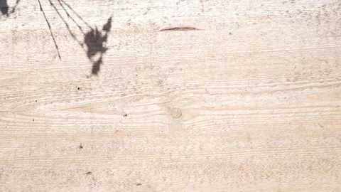 Summer concept the motion of leaves sunlight natural shadow overlay on wood Stock Footage 268472696