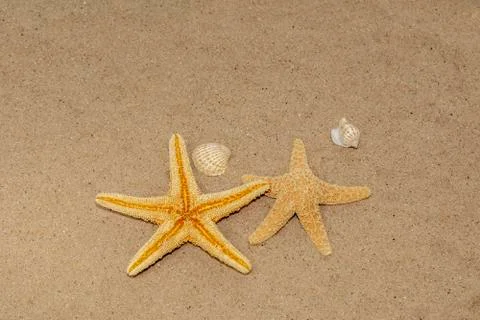 Summer concept Stock Photos