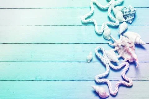 Summer concept with sandy beach, shells and cord. Stock Photos