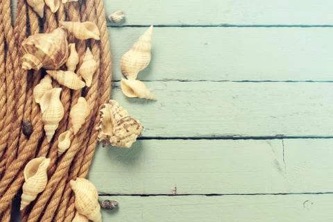 Summer concept with sandy beach, shells and cord. Stock Photos