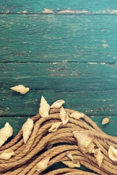 Summer concept with sandy beach, shells and cord. Stock Photos