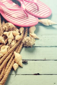 Summer concept with sandy beach, shells and cord. Stock Photos