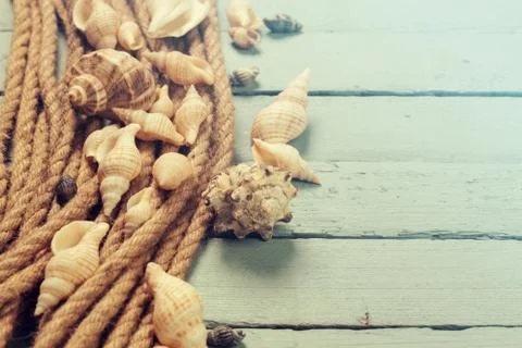 Summer concept with sandy beach, shells and cord. Stock Photos