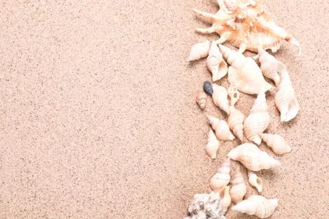 Summer concept with sandy beach, shells and cord. Stock Photos