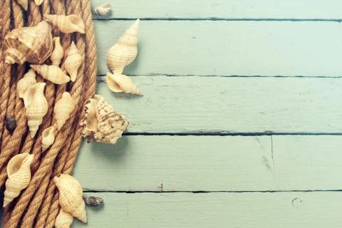 Summer concept with sandy beach, shells and cord. Stock Photos