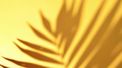 Summer concept. Shadow of tropical palm leaf against yellow wall Stockbeeldmateriaal 170037876