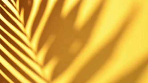 Summer concept. Shadow of tropical palm leaf against yellow wall. Vidéo 170038099