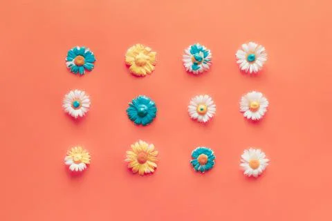 Summer coral background with a pattern of painted chamomiles Stock Photos