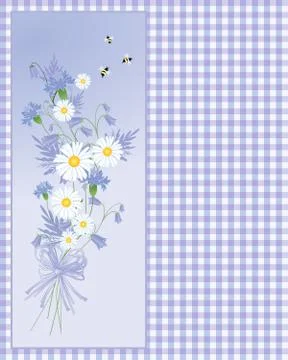 Summer cornflower Stock Illustration