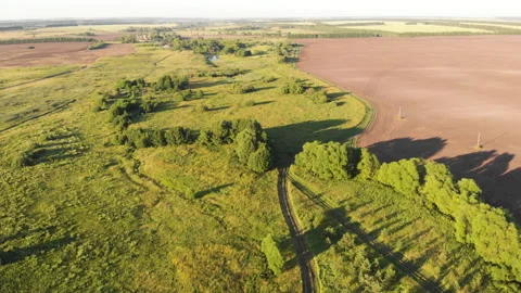 Summer countryside Stock Footage 147129170