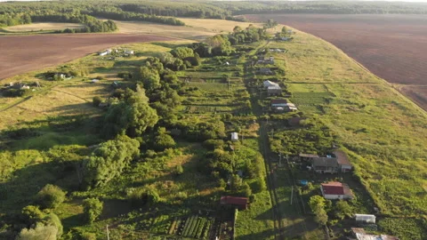 Summer countryside Stock Footage 147130005