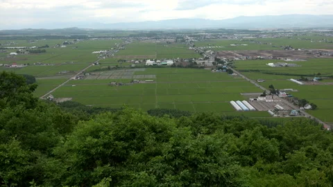 Summer Countryside 스톡 동영상 333151665