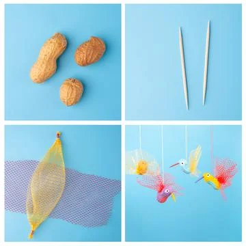 Summer craft bird tutorial, easy for kids, DIY, made from peanuts and veggie 스톡 사진