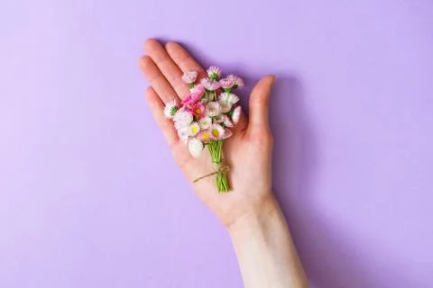 Summer creative composition in minimal style. White and pink Mar Stock Photos