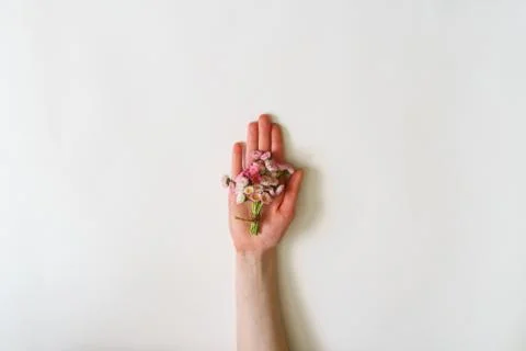 Summer creative composition in minimal style. White and pink Mar Stock Photos