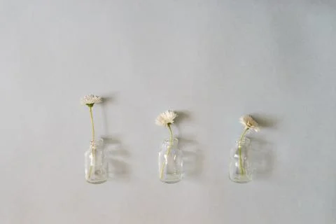 Summer creative composition in minimal style. Three white Margue Stock Photos