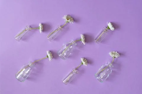 Summer creative composition in minimal style. White Marguerite d Foto stock