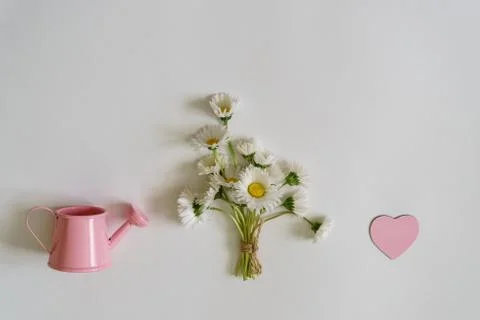 Summer creative composition in minimal style. White Marguerite d Stock Photos