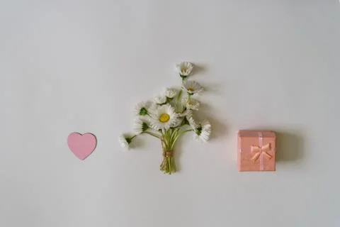 Summer creative composition in minimal style. White Marguerite daisy flowers  Stock Photos