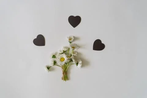 Summer creative composition in minimal style. White Marguerite daisy flowers  Foto stock