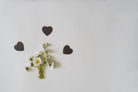 Summer creative composition in minimal style. White Marguerite d Stock Photos