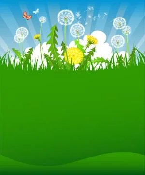 Summer dandelion background Stock Illustration