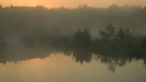 Summer dawn Stock Footage 133027439