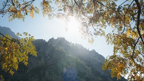 Summer dawn in the mountains 動画素材 114973707