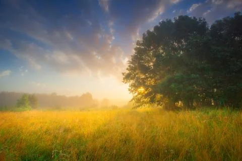 Summer dawn Foto stock
