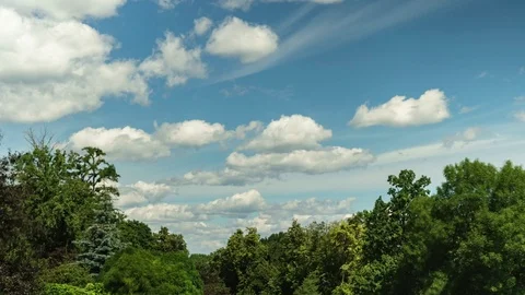 Summer day and clouds in the sky timelapse. Beautiful green trees. Nature Stock Footage 77584668