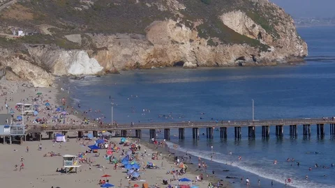 Summer Day on the Beach Video stock 78081005