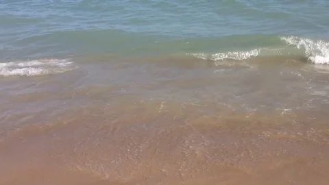 Summer day at the beach 動画素材 79714875