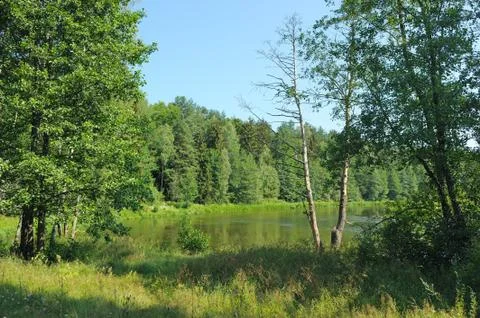 Summer day at the bend of the river Stock Photos