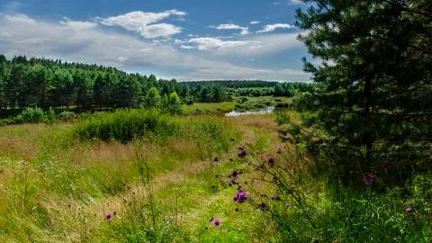 Summer day: clouds, grass, forest, lake and open space. Foto stock