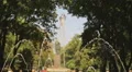 Summer day in crowded park. People strolling, enjoying active weekend leisure HD Footage