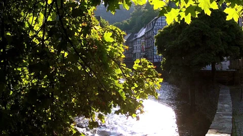 Summer day. Stock Footage 34435746