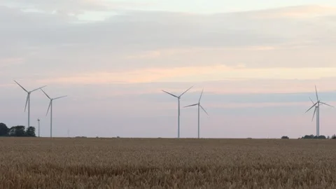 Summer day. Stock Footage 315247272